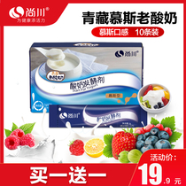 Shangchuan Old Yogurt Fermentation Powder Bifidobacterium Home-made Greek Yogurt Starter Mousse Probiotic Powder