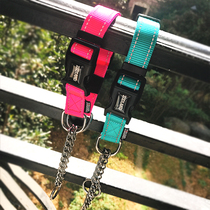 zooland domain Range Rover dog Half P Chain Item Circle Pets Neck Ring Small Mid Sized Dogs Walking Dog Control Snare Köki