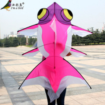 Weifang kite goldfish kite umbrella goldfish kite multi-color optional breeze good fly fresh and bright