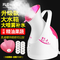 York Hot Spray Steamed Face Instrument Beauty Instrument Sprayer Home Hydrating Face Washing Machine Nano Steamed Face Moisturizing