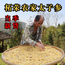 Authentic Super Zherong Taizi Shen soup children Chinese herbal medicine wild children ginseng sulfur-free children ginseng 250g