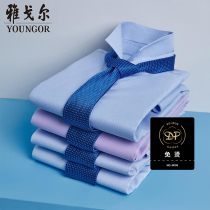 Youngor long sleeve shirt autumn new men Business Leisure official dad cotton DP non-iron shirt 1929
