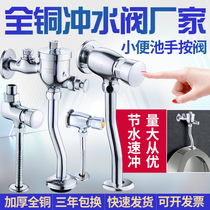 Delayed flush valve toilet valve urinal full copper urinal valve press all copper urinal flush valve