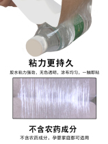 Flies stick strong sticky fly board artifact a sweep of home catcher medicine dip mosquito killer fly fly fly paper