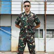 Summer new camouflage military training suit suit mens short-sleeved breathable thin outdoor tactical labor protection work clothes women wear-resistant