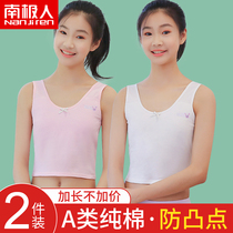 Girl underwear female development Primary School students junior high school students cotton bra summer thin childrens girl vest