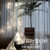 Basibei curtain White yarn transparent transparent to people chiffon yarn living room balcony yarn vertical stripe vertical curtain light luxury