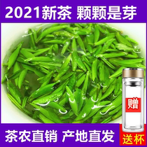 Authentic 2021 new tea bird tongue Ming front head picking bulk 250g Sichuan tea Emeishan bamboo leaf fried green tea