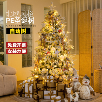 Nordic flocked Christmas tree home small package Christmas decoration simulation naked tree set encrypted white lamp tree