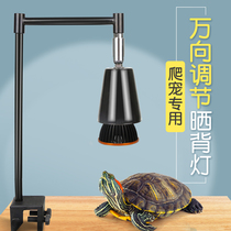 Turtle special lamp UVB solar lamp Full spectrum calcium lighting Fish tank lamp Turtle house house drying back light