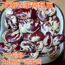 Yunnan farmhouse big kidney bean 2500g poached bean Emperor bean zebra Bean Bean Bean Bean Bean coarse grain coarse grain