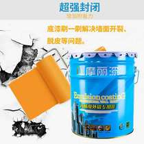 Molly paint acrylic special exterior paint waterproof sunscreen durable environmental protection latex paint waterproof paint white color