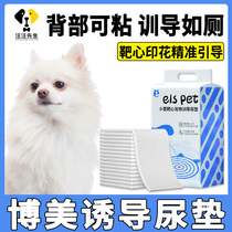 Boomey Puppy Training Target Urine Cushion Guide Upper Toilet Young Dog Induces Puppies Seppurea Pads Disposable Stickable