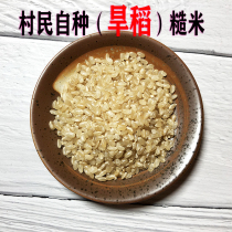 Brown rice dry rice new rice farmers self-grown germ rice whole grains rice porridge coarse grains good rice japonica rice