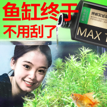 Fish tank algaecide removal agent removal of green algae brown algae black hair algae moss removal does not hurt fish algaecide green water