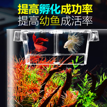 Crazy water grass acrylic isolation box aquarium fish fry breeding box incubator box size with lid