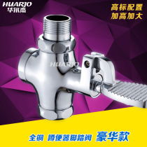 Waljie copper squatting toilet flushing valve stool pedal flushing device delay foot valve squatting pit H881