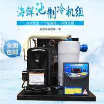 Fish tank chiller refrigerator 1-5P restaurant seafood fish pond constant temperature machine aquarium aquaculture industrial cooling machine