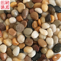 Five pounds of 1-3cm multicolored natural pebbles stone courtyard floor floor rain stone fish tank flower pot landscaping