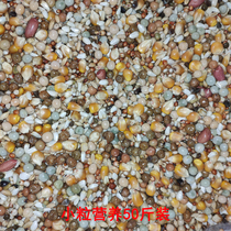 Golden Mausoleum AA Class with corn nutrient dove grain pigeon grain letter dove 50 catload of JiangZhejiang Shanghai