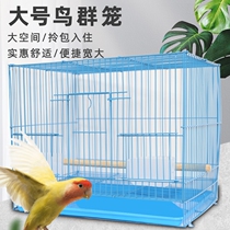 Birdcage Xuanfeng Tiger Skin Parrot Quail Eight Bros Cage Large Extra Large Stainless Steel Household Pet Pigeon Cage
