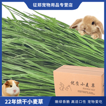 22 22 years drying wheat straw hay hay rabbit Dutch pig dragon cat guinea pig herd grain feed grass gross weight 1000g