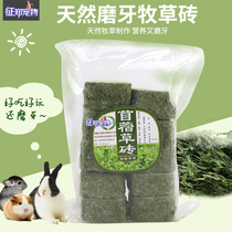 Rabbit Dutch pig chinchilla alfalfa Timothy grass wheatgrass fruit tree grass ryegrass molar nutrition grass brick