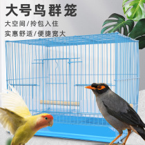 Birdcage Xuanfeng Tiger Skin Parrot Quail Eight Bros Cage Large Extra Large Stainless Steel Household Pet Pigeon Cage
