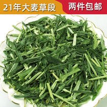  2 pieces of new grass Rabbit Tender green barley grass segment dried Dutch pig Guinea pig feed Guinea pig Chinchilla 500g