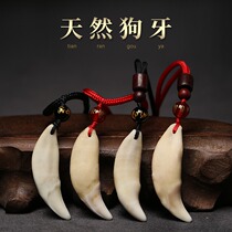 真狗牙吊坠狼牙吊坠男士护身黑狗牙项链女狗牙齿护身符随身挂件男