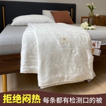 Soy Fiber Spring Autumn Quilt Core Single Double Summer Summer Thin Quilt Summer Quilt Air Conditioning By Summer Cool Quilt Washable