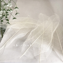  Click groceries Natural leaves veins dried flowers immortalized flowers washed retro photography props jewelry display