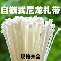 Cable tie tie self-locking nylon cable tie strap strap plastic buckle strong tired dog big number tie