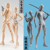 Bandage SHF human body model body hand puppet action painting painting art comics sketch sketch men and women