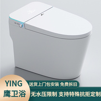 Hawk sanitary bathroom smart toilet 200 250 250 350 380 450 480 500MM custom hole pit distance