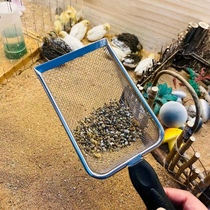 Walnut sand shovel walnut sand sieve Stainless Steel Luding Chicken Manure Clean Special Tool Shover Fine Mesh