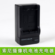 Suitable for Sony HDR-XR550E XR350E XR150E CX550E CX350E Camera Charger