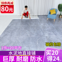 Thickened Carpet Bedroom Living Room Large Area Full-Laid Household Plastic Waterproof Moisture-Free Mat and Adolescent Ins wind