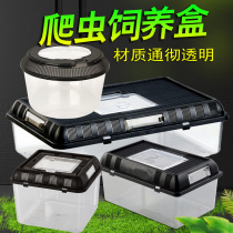 High light transmittance reptile box snake spider frog palace lizard water turtle tortoise breeding box breeding breeding box