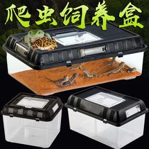 Acrylic portable feeding box Xijin the same spider horned frog palace pet snake breeding box turtle box