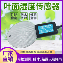 Foliar Humidity Sensor Transmitter 485 Agricultural Greenhouse Leaf Surface Moisture Measurement Record Detector