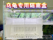 Head of the same turtle isolation box high quality thickened acrylic isolation box turtle seedling hair color box