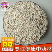 Little Fritillaria 500g ~ 5kg Fritillaria Song Fritillaria Fritillaria Fritillaria Fritillaria Fritillaria Fritillaria