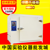 High Temperature Drying Cabinet Industrial Electric Welding Rod High Temperature Oven Test Case 500 Degrees ° C Melt Spray Cloth Mold Oven Spot