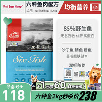 PET INN HERE Canada Orijen eager to import dog food six fish young to grow old full dog natural grain