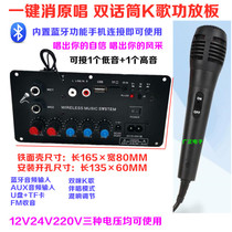 Super Power Dual Microphone Bluetooth K Song Eliminating Original Voice Accoring Power Amplifier Board 12V24V220V Subwoofer Motherboard