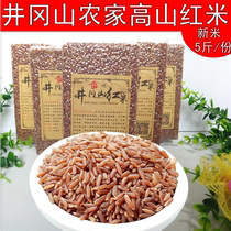 Xinmi Jinggangshan Red Rice Farmhouse Red Brown Rice 5 Jin Red Rice Japonica Rice Miscellaneous Grain Blood Rice Low-fat Red Fragrant Rice