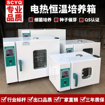 Constant temperature incubator Cell plant microbial mold climate small constant temperature and humidity laboratory incubator