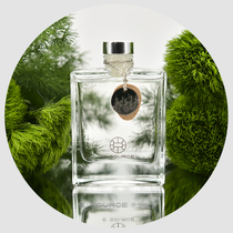 Forest E · SOURCE SOURCE energy space fragrance 100ml