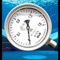 BLD high quality Beijing Bridi radial stainless steel pressure gauge YTF-100H YTH-100 AO 521